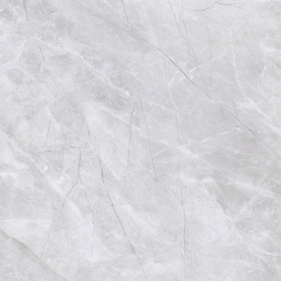 GF81308-泰拉莫淺灰